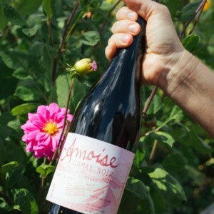 S-03</br>Amoise Wines - Two Terraces selection by Amoise (2024 vintage)